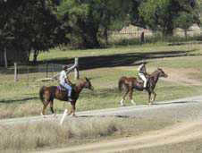 Horseriding at Mole Station