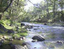 The Mole River